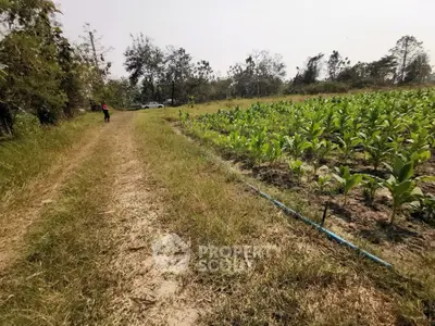 image_rental-29829401