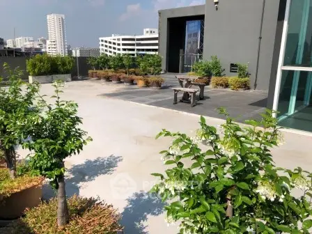 Spacious rooftop terrace with city views and lush greenery