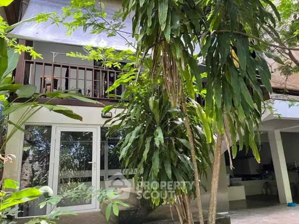 image_rental-17252624