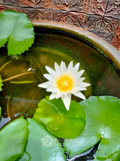 image_rental-8338848