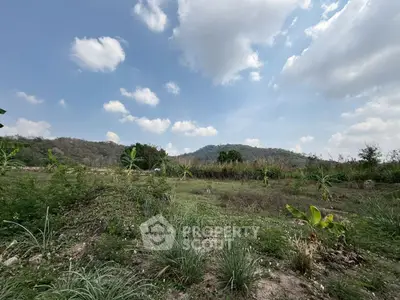 image_rental-30011224