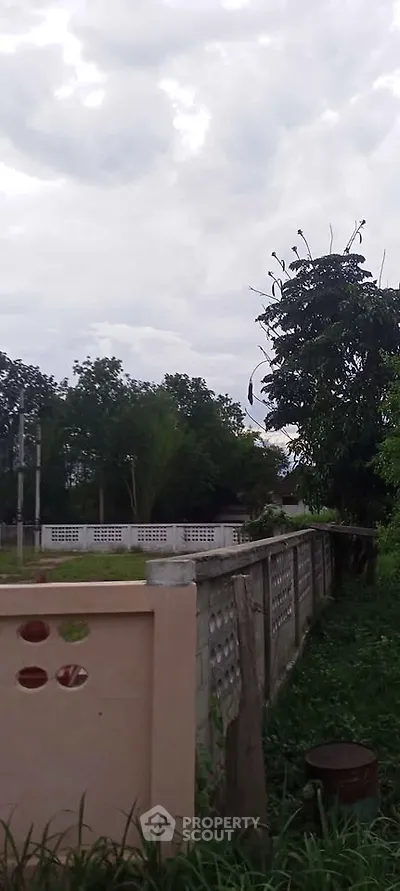 Charming garden view with lush greenery and rustic fence, perfect for nature lovers.