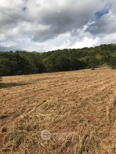 Expansive rural land with lush greenery and open skies, perfect for development or agriculture.