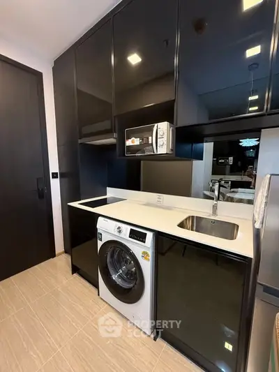 Modern kitchen with sleek black cabinets and built-in washing machine