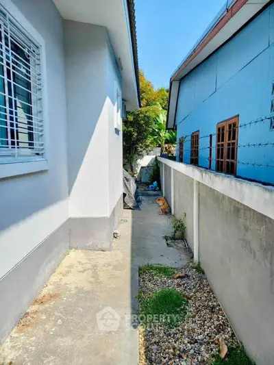 Narrow side pathway between two residential buildings with sunlight and greenery.