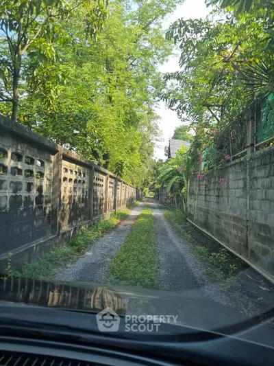 Charming narrow alleyway with lush greenery and rustic walls, perfect for serene living.