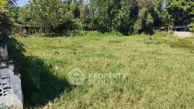 image_rental-29385660