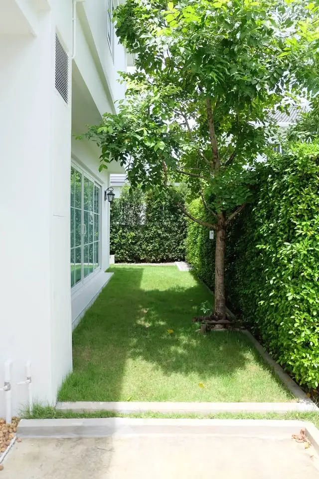 Charming garden area with lush greenery and modern exterior, perfect for relaxation.