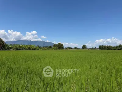 Expansive green field with mountain backdrop, perfect for agricultural investment or rural development.