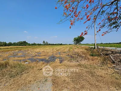 messageImage_1692967828450_0.jpg