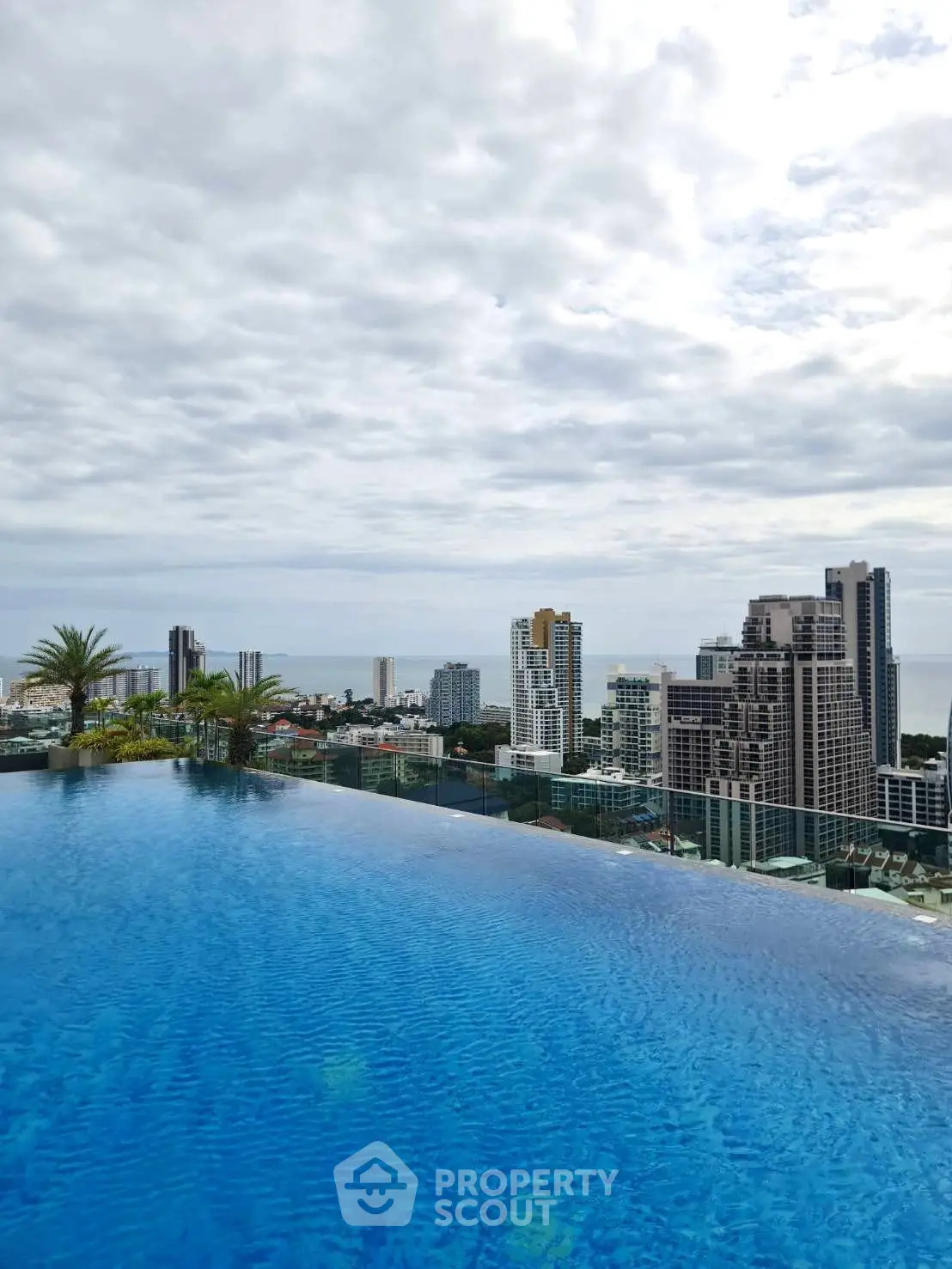 Stunning rooftop infinity pool with breathtaking city skyline and ocean views.