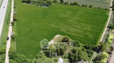 Expansive green land plot near road ideal for development
