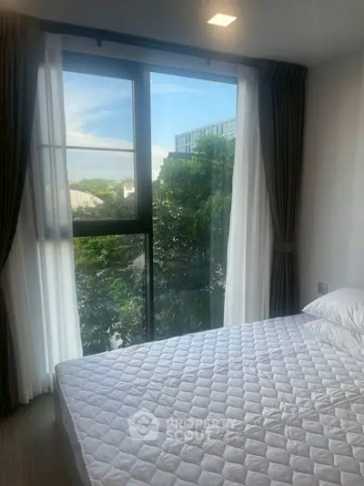 image_rental-31502367