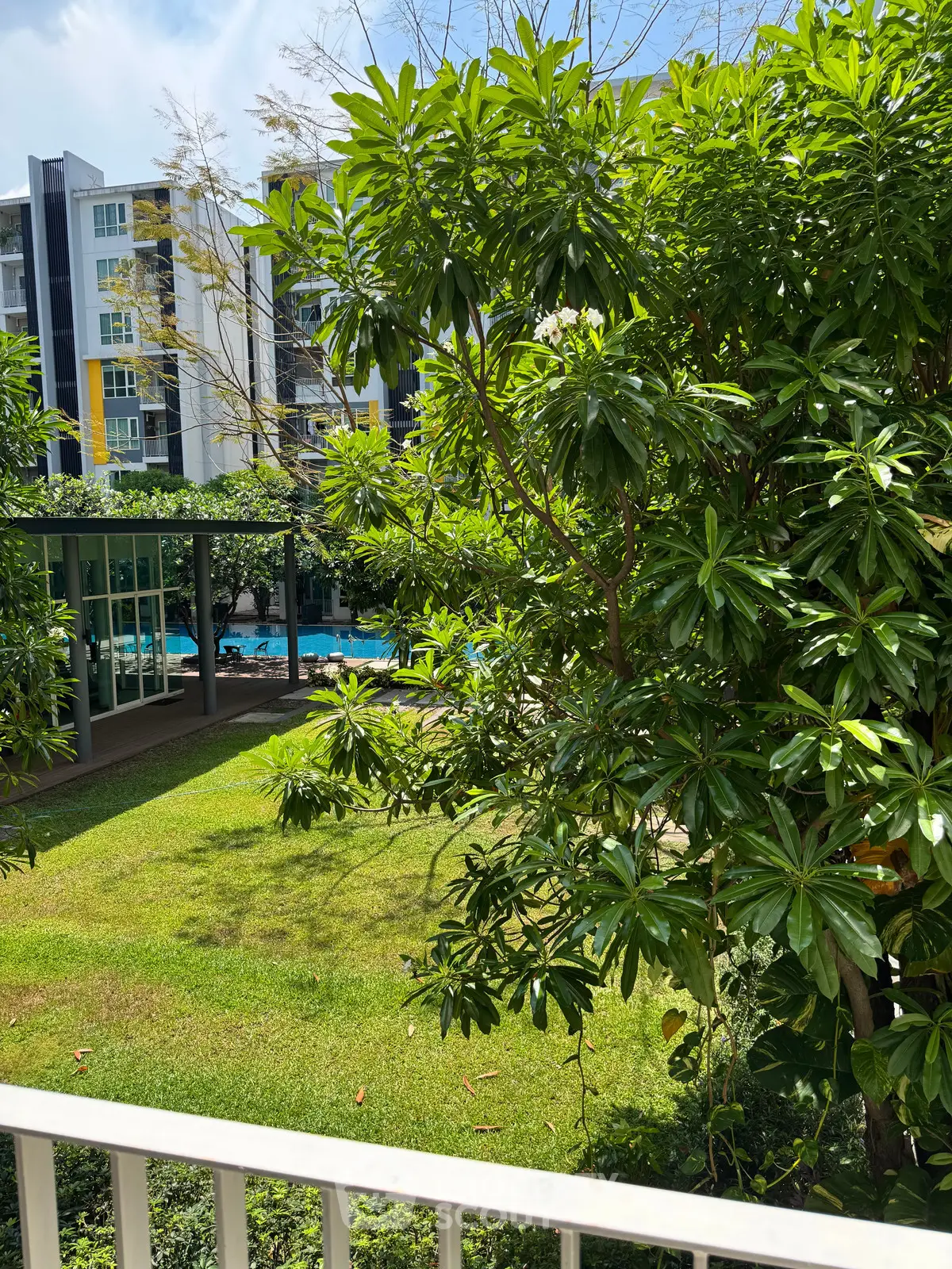 Lush garden view with pool in modern residential complex