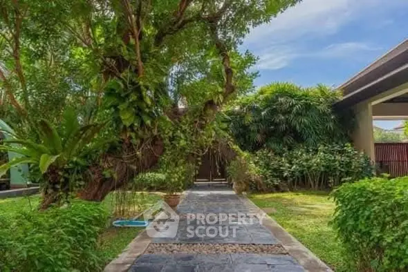Charming garden pathway with lush greenery and mature trees in a serene residential setting.
