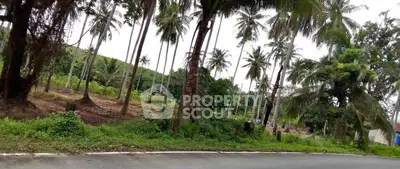 image_rental-31622579