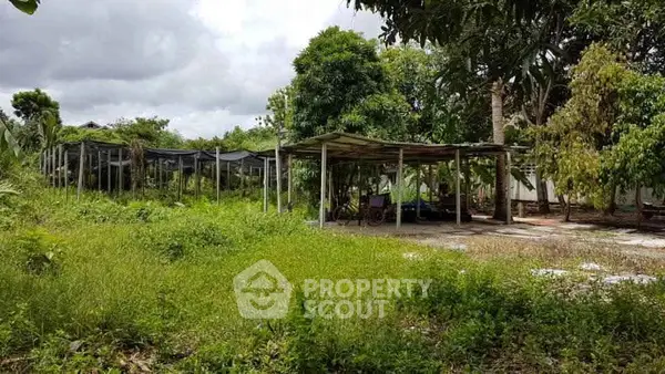 image_rental-28039295