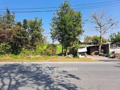 Charming rural property with lush greenery and roadside access, perfect for development or agricultural use.