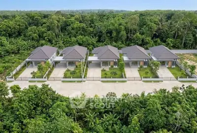 Aerial view of modern single-story homes with lush greenery and spacious driveways.