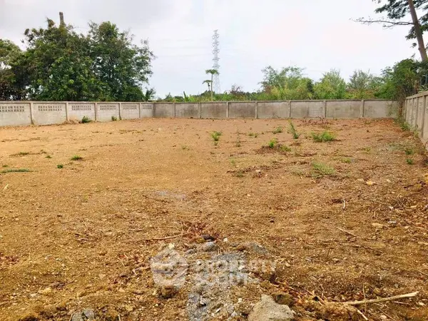 image_rental-16936258