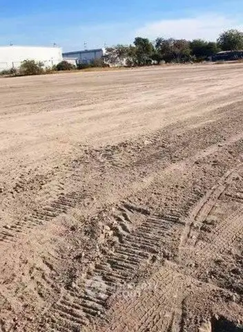 image_rental-29647407