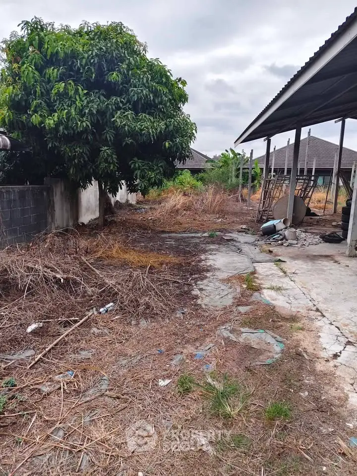 Spacious outdoor area with potential for landscaping, featuring a large tree and partial view of a building structure.