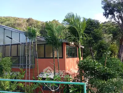 Charming hillside home with lush greenery and large windows