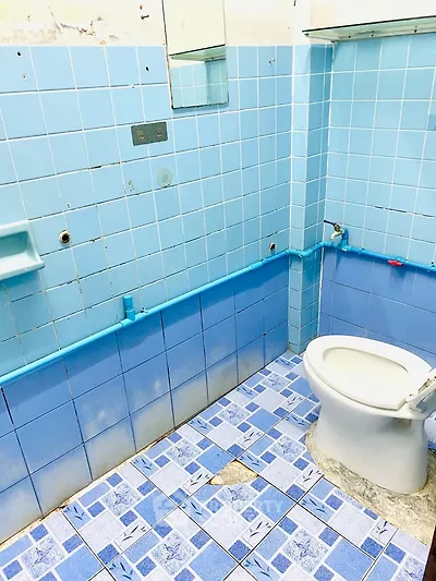 Vintage blue-tiled bathroom with toilet and mirror, ideal for renovation projects.
