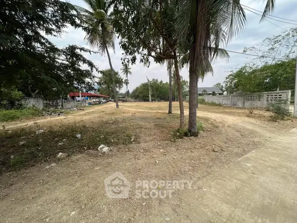 image_rental-31097195