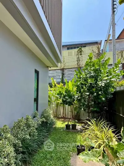 image_rental-31646721