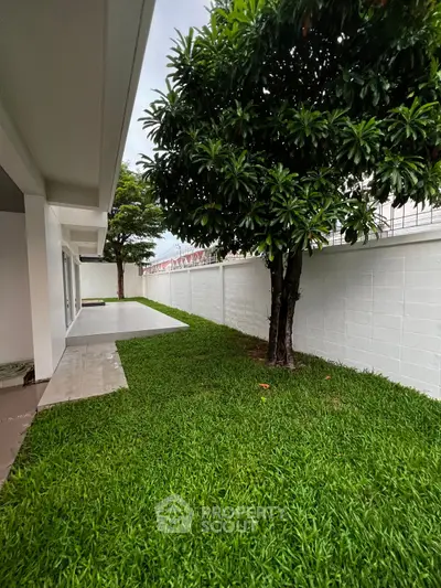 Spacious backyard with lush green lawn and mature trees, perfect for outdoor relaxation and entertainment.