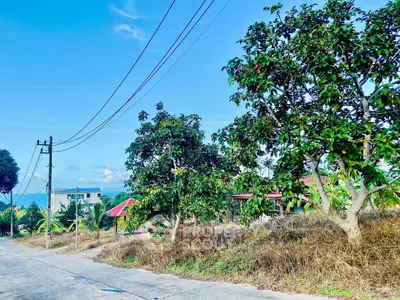 image_rental-29623833