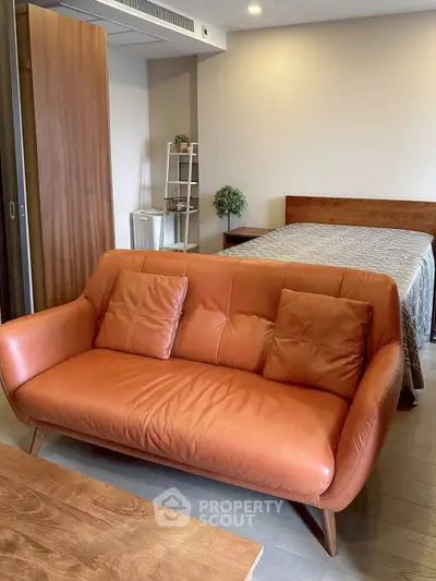 Cozy studio apartment with stylish leather sofa and modern decor