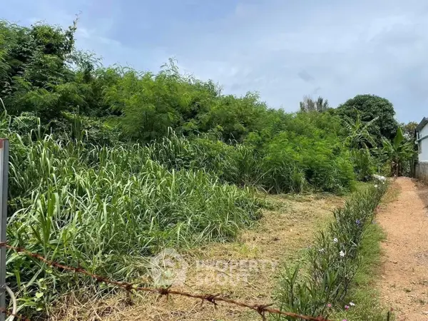 image_rental-24900763