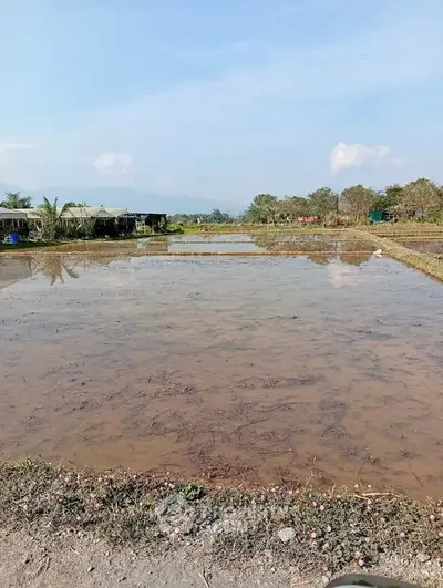 image_rental-31683907