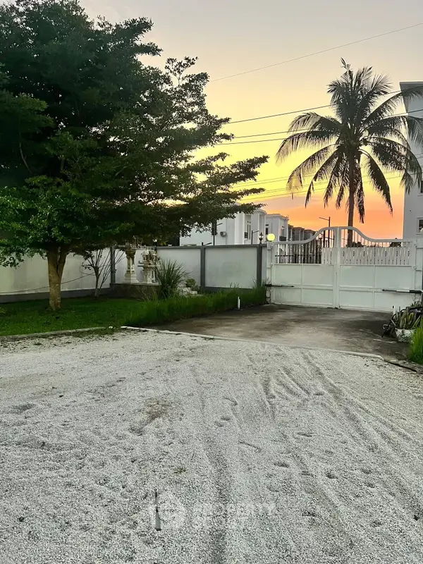 image_rental-29634658