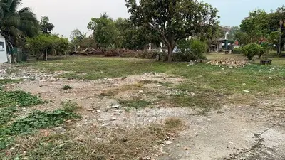 Spacious vacant land with lush greenery, ideal for development in a serene neighborhood.