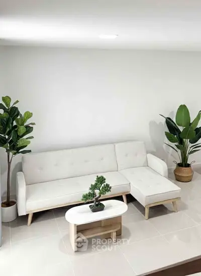 Modern living room with white sectional sofa and indoor plants