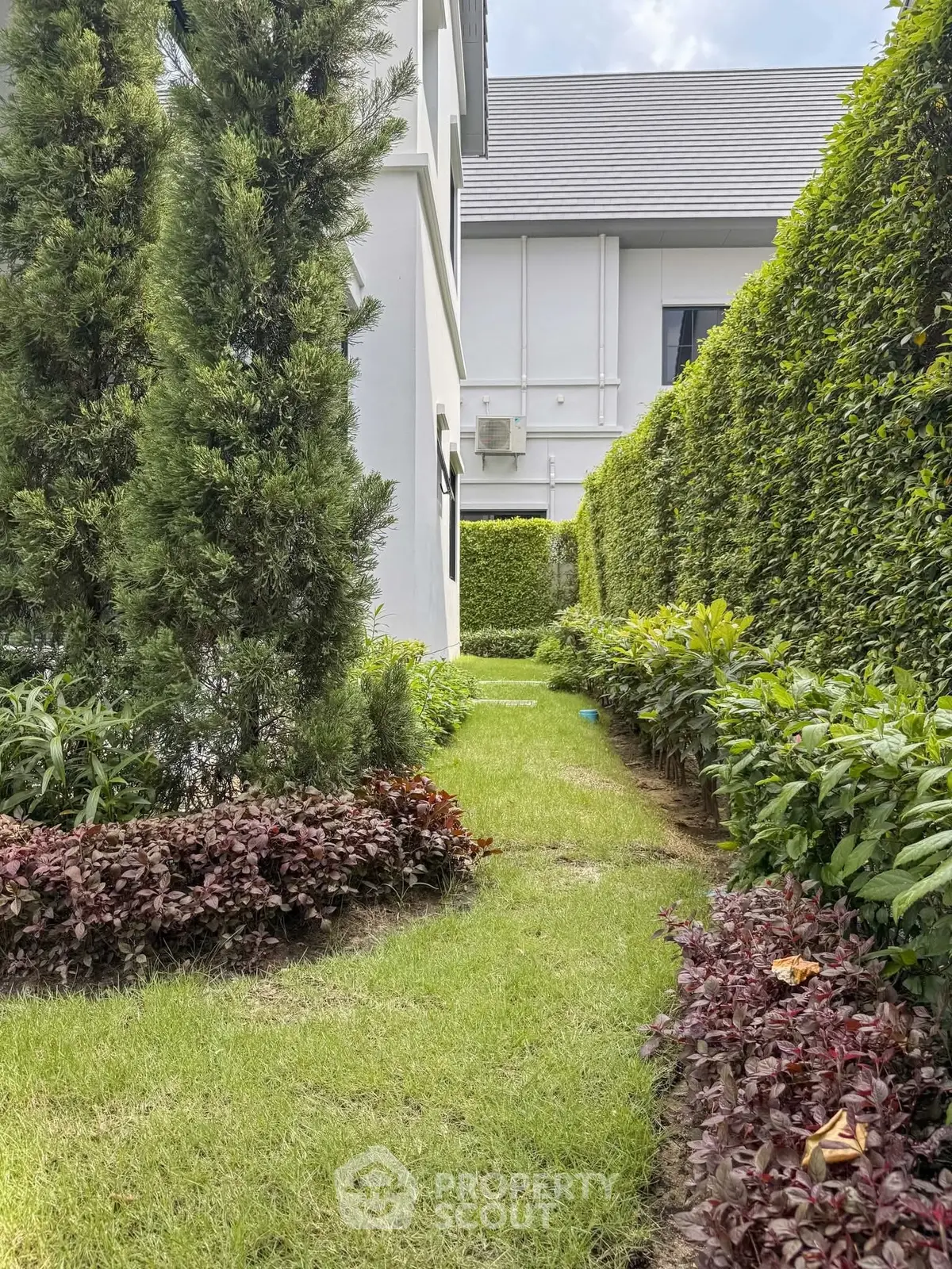 Charming garden pathway beside modern residential building with lush greenery