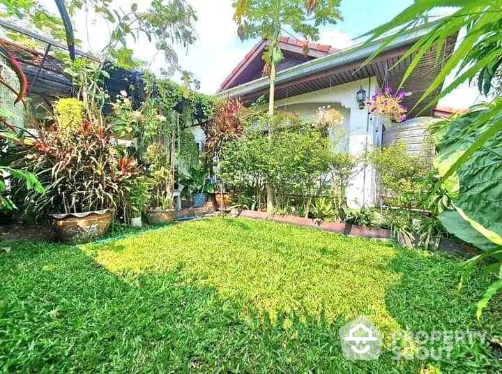 Charming garden view with lush greenery and vibrant plants in a cozy residential backyard.