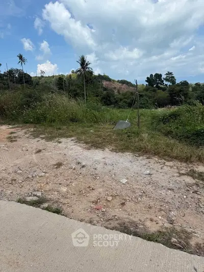 Scenic land plot with lush greenery and palm trees, ideal for development.