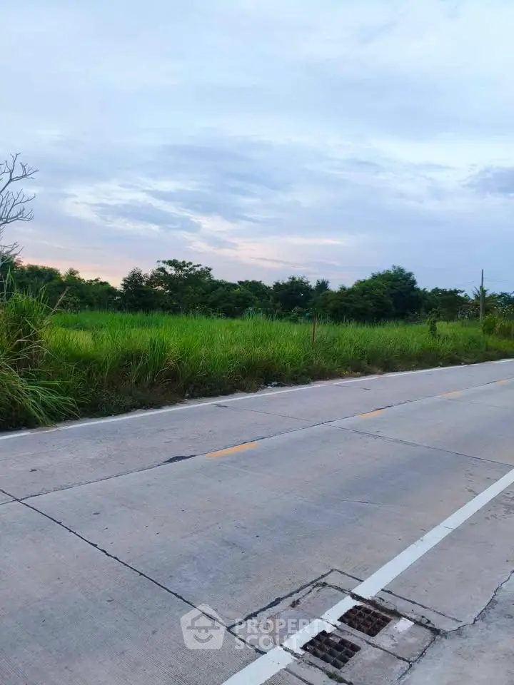 Scenic view of a lush green field beside a paved road, perfect for real estate development.