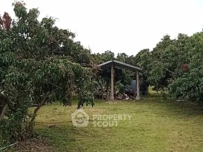 Charming rural property with lush greenery and a rustic shed, perfect for nature lovers seeking tranquility.