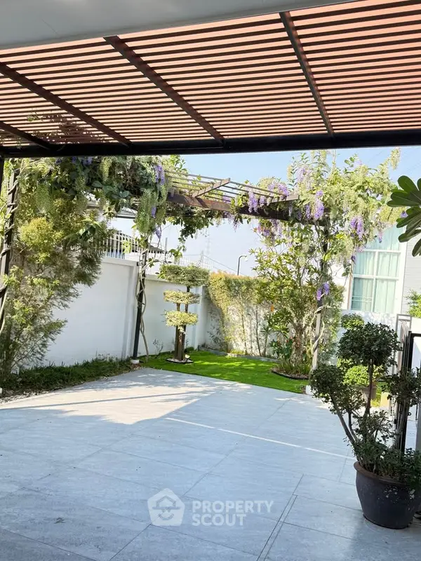 image_rental-29600032