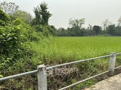 Scenic view of lush green field with distant houses, perfect for real estate development.