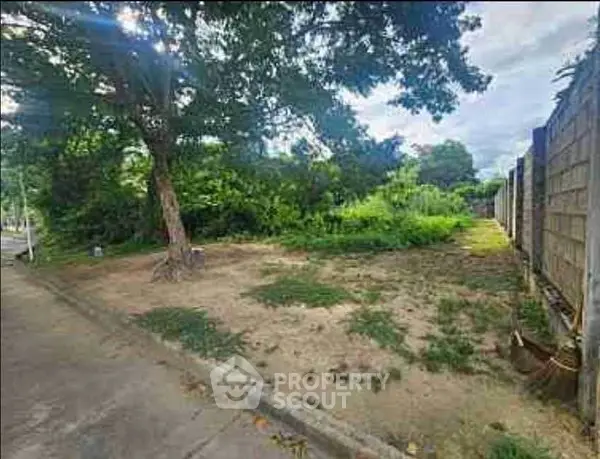 image_rental-27574790