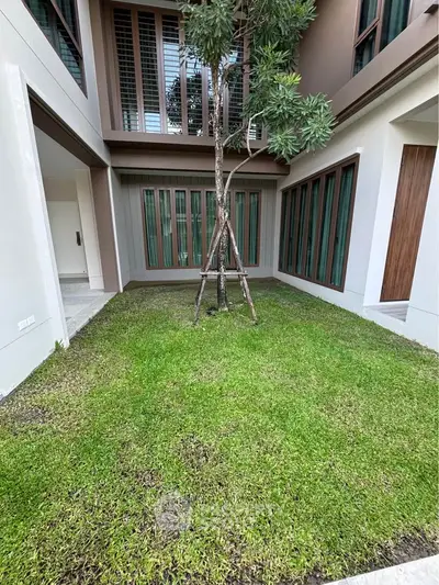 image_rental-31424265