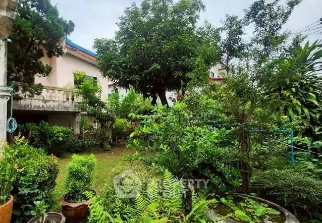 Lush garden view with abundant greenery and mature trees in a residential setting.