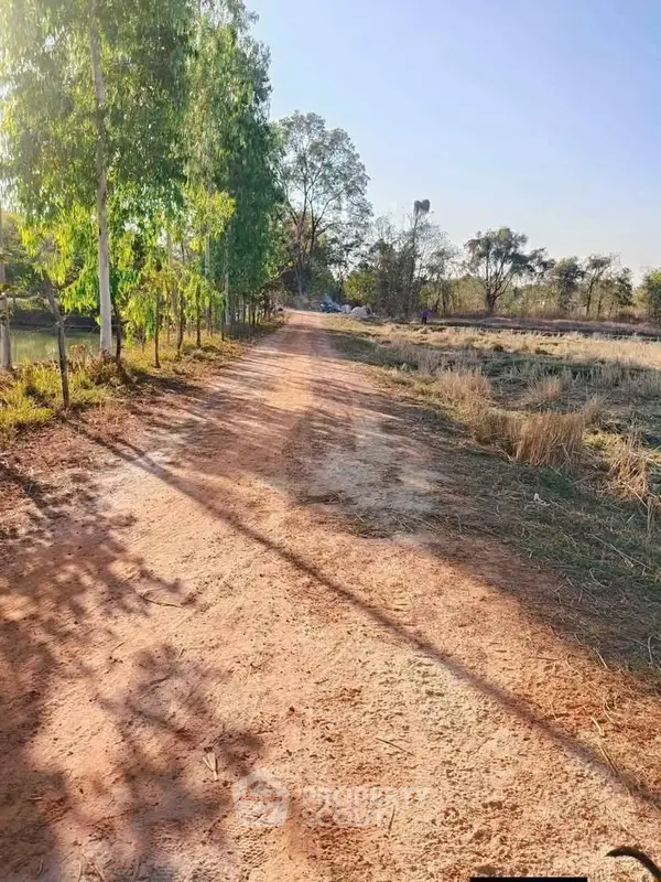 image_rental-30682323