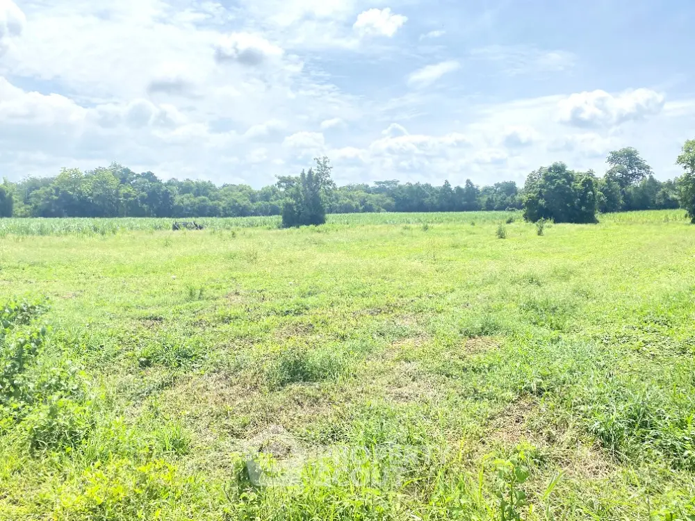 Expansive green field under a bright blue sky, perfect for development or agriculture.